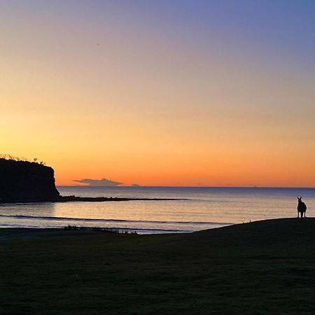 Alexander'S Cottage, Pebbly Beach East Lynne ภายนอก รูปภาพ
